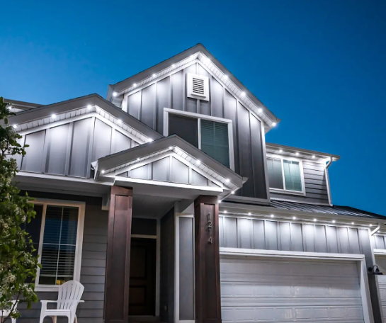 JellyFish Permanent outdoor lighting